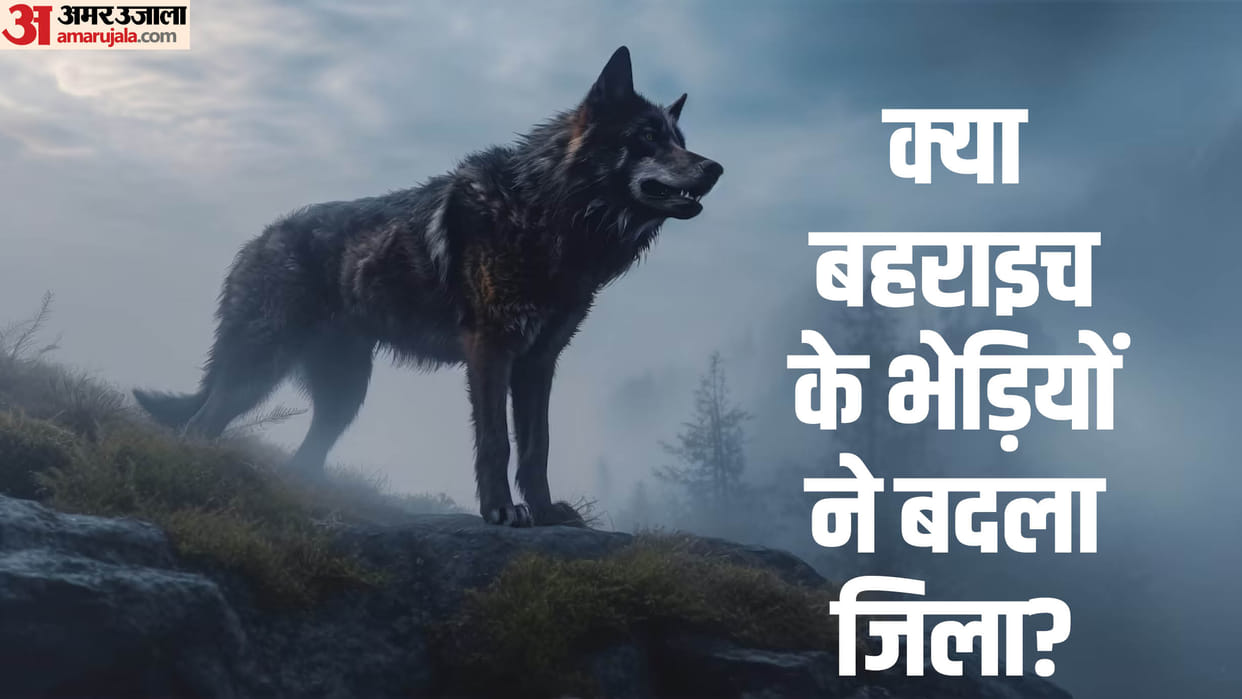UP: Have wolves left Bahraich and gone to other districts?, no incident since 11 days
