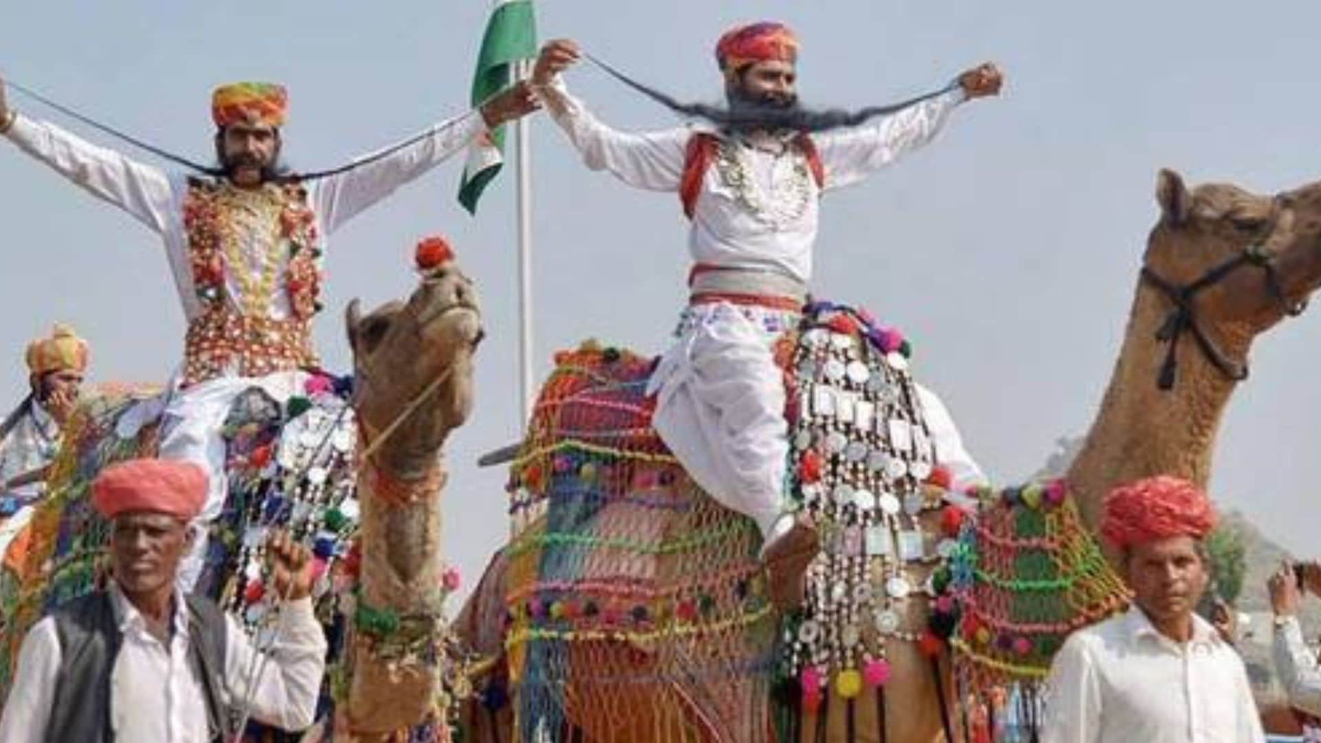 Pushkar Mela 2024 Starting From 2 November From Camels Fair To Culture Dunes News in Hindi