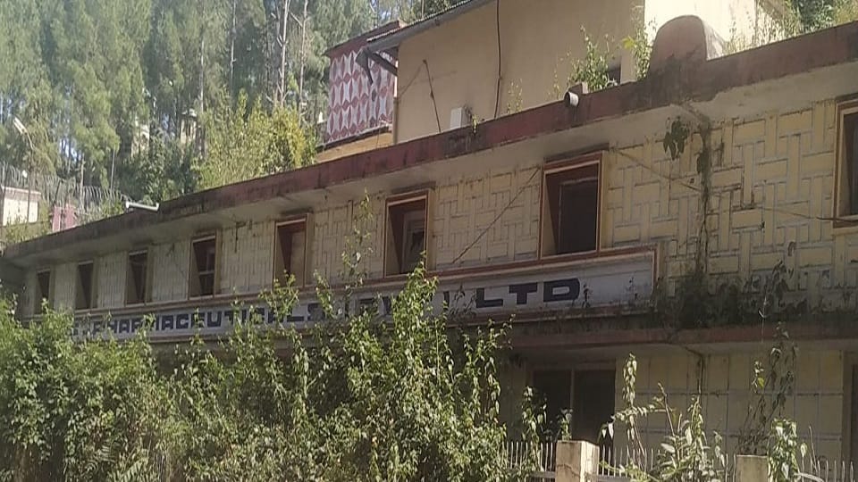pharmaceutical company Alps will soon come into existence in almora