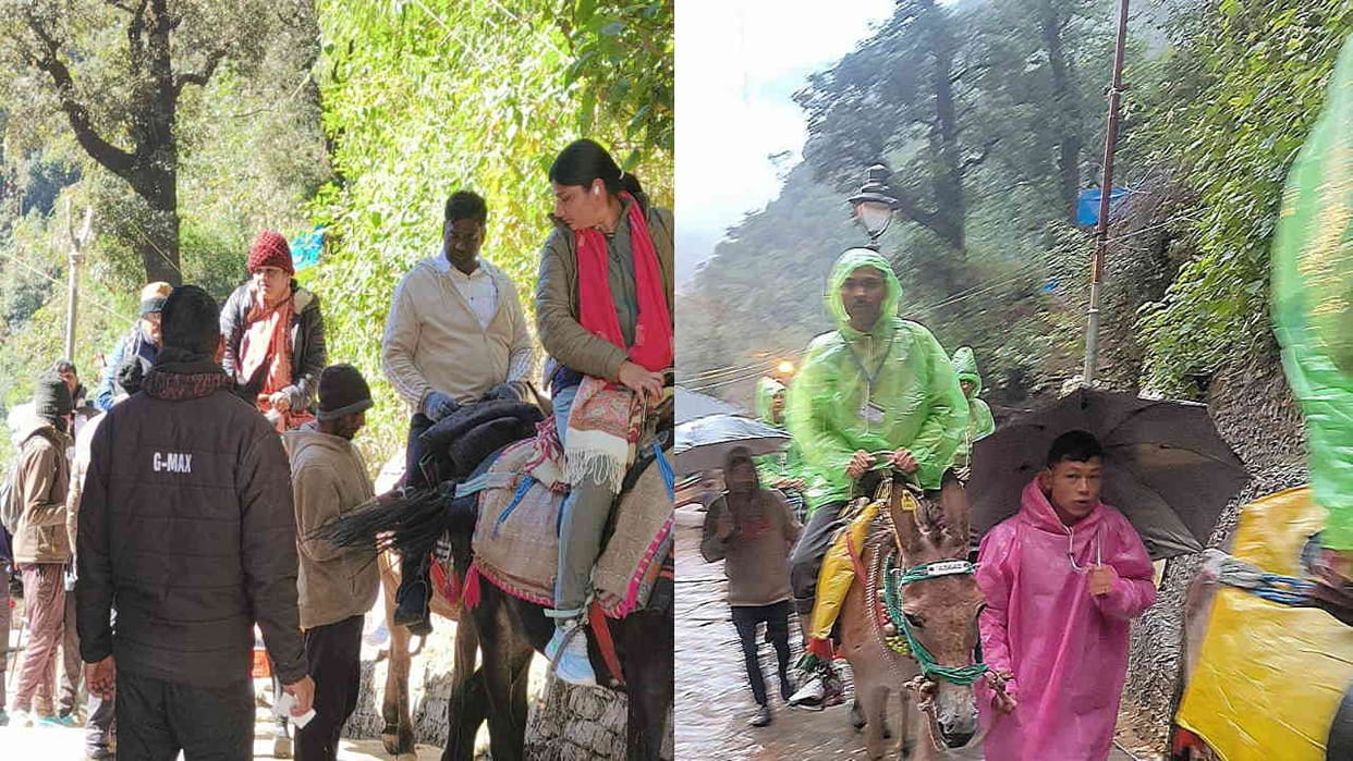 Kedarnath Dham: animals are giving new impetus to business on 16 km difficult walking route