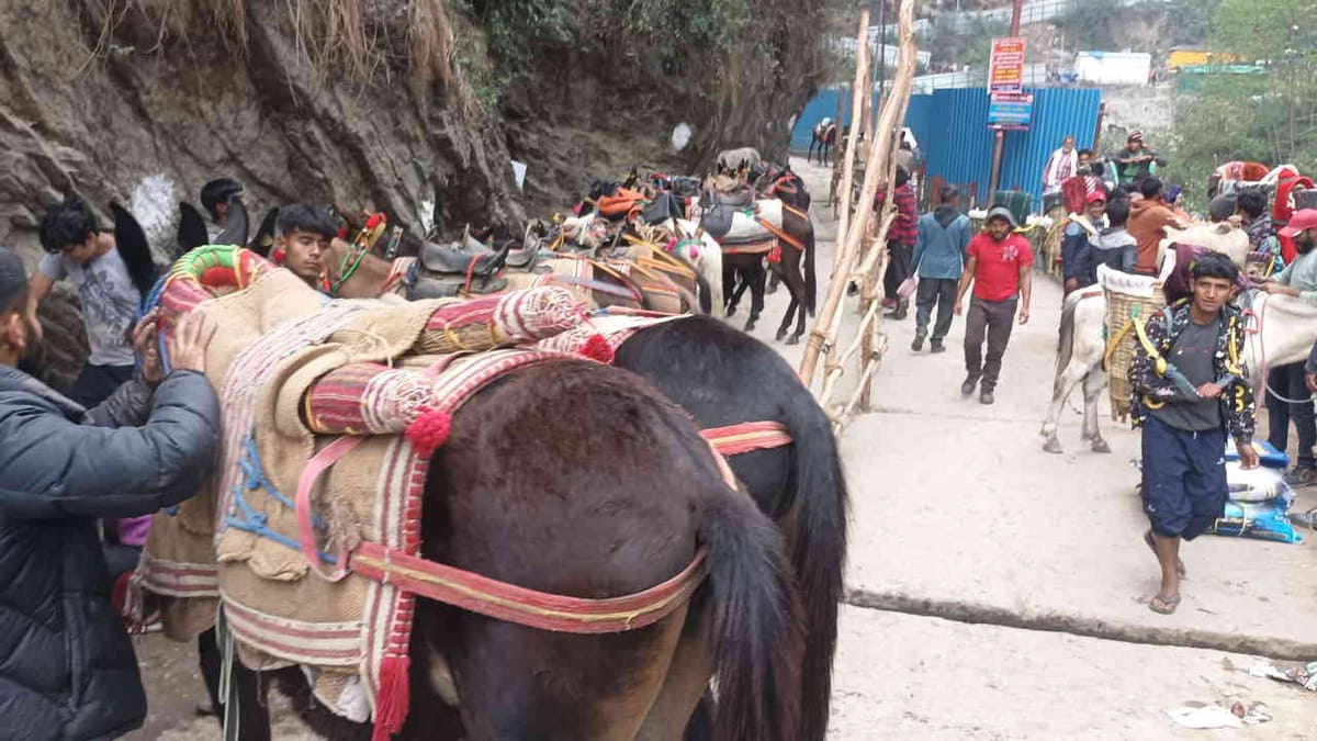 Kedarnath Dham: पैदल मार्ग पर बढ़ रही गंदगी, लीद की फिसलन से यात्रियों से परेशानी, सफाई व्यवस्था पर सवाल