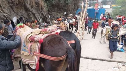 Kedarnath Dham: animals are giving new impetus to business on 16 km difficult walking route