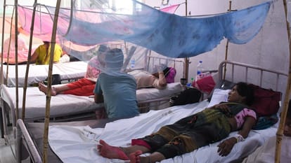 Lucknow: लखनऊ में डेंगू से महिला की मौत, इस साल जान जाने का पहला मामला Woman dies of dengue in Lucknow.
