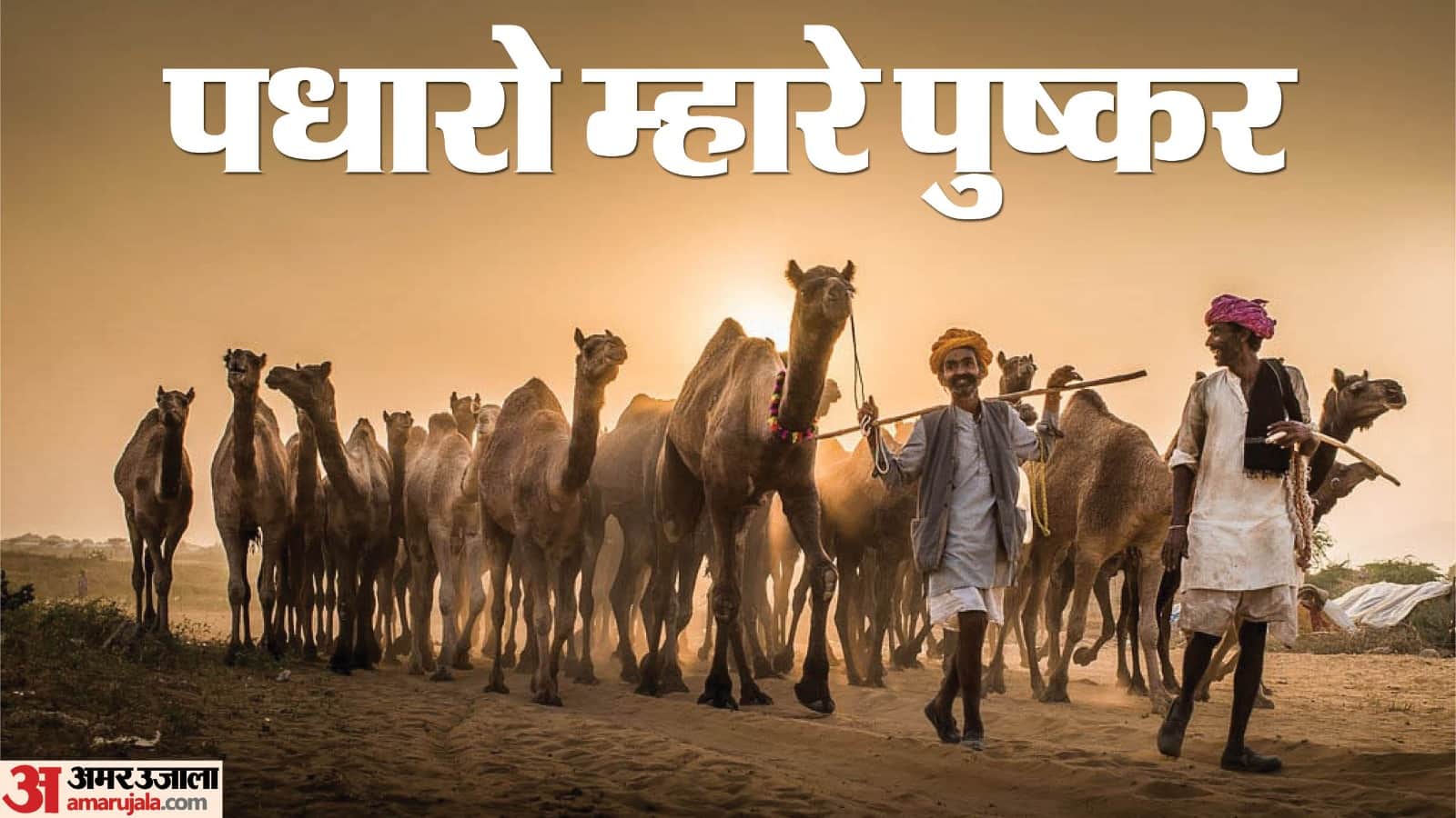 Pushkar Mela 2024 Starting From 2 November From Camels Fair To Culture Dunes News in Hindi