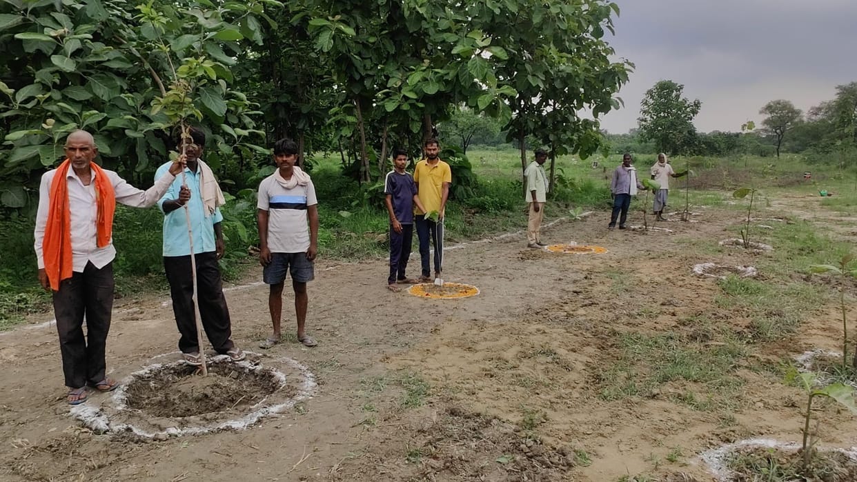 Fraud in plantation campaign due to geo tagging system in Varanasi