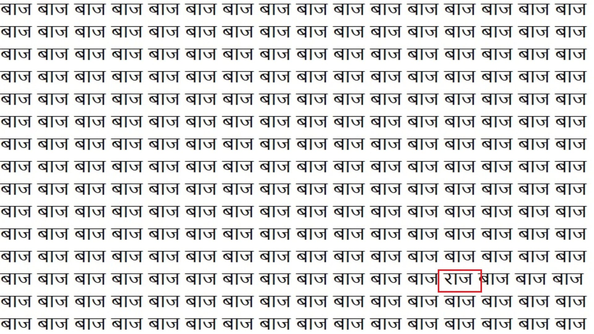 Optical Illusion IQ Test: Can You Find The Raj in This Picture in 12 Seconds