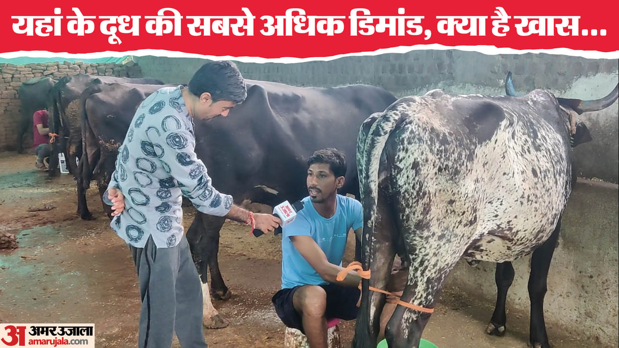 sehore best quality milk product gel india plant Oppose
