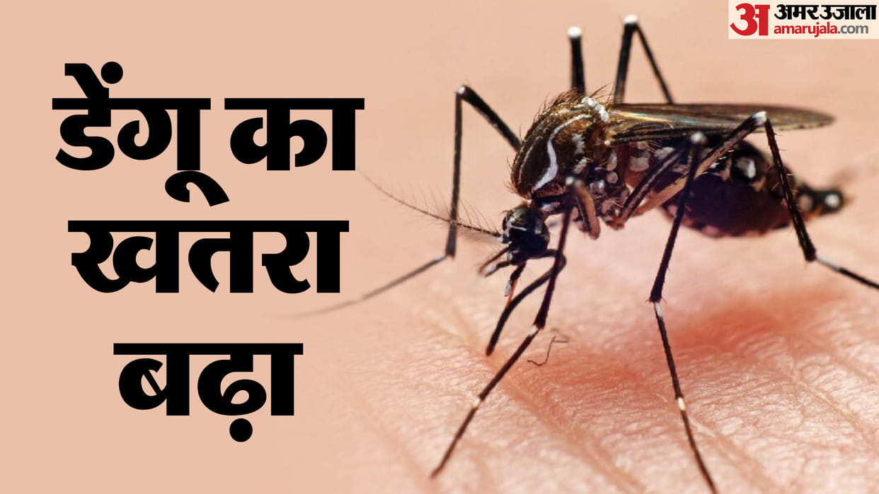 Lucknow: Dengue havoc increases, record 39 patients found in one day, two people have lost their lives so far
