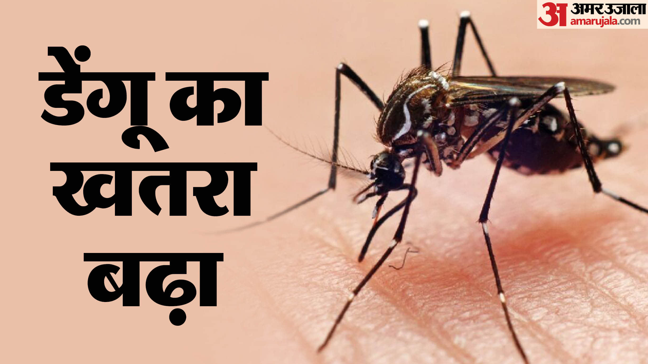 Muzaffarpur News: Nine new cases of dengue in one day, 133 total patients; flood affected area condition