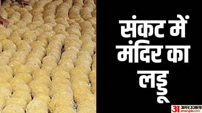 Rajasthan News: अब इस मंदिर की प्रसाद दुकान में मिला फफूंद लगा 800 किलो लड्डू, खाद्य सुरक्षा दल ने नष्ट कराया Rajasthan News: 800 kg of moldy laddus found in Trinetra Ganesh temple
