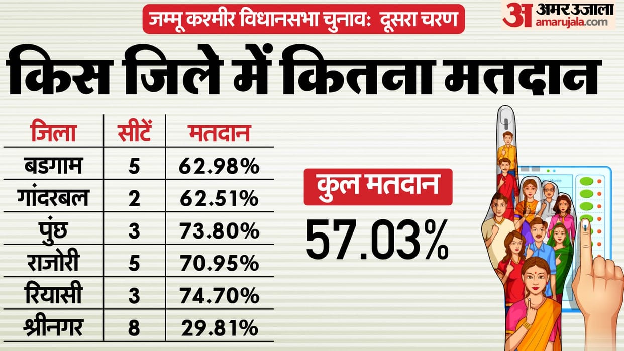 Jammu Kashmir election Phase Two Candidates and voting news in hindi
