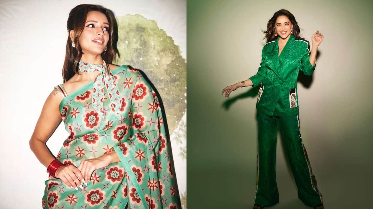 Madhuri Dixit Triptii Dimri will be seen together again after Bhool Bhulaiyaa 3 details inside