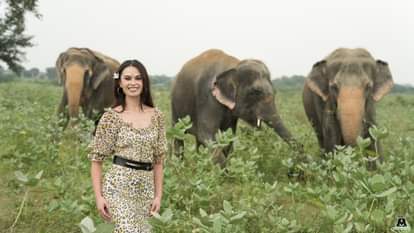 मिस यूनिवर्स ग्रेट ब्रिटेन