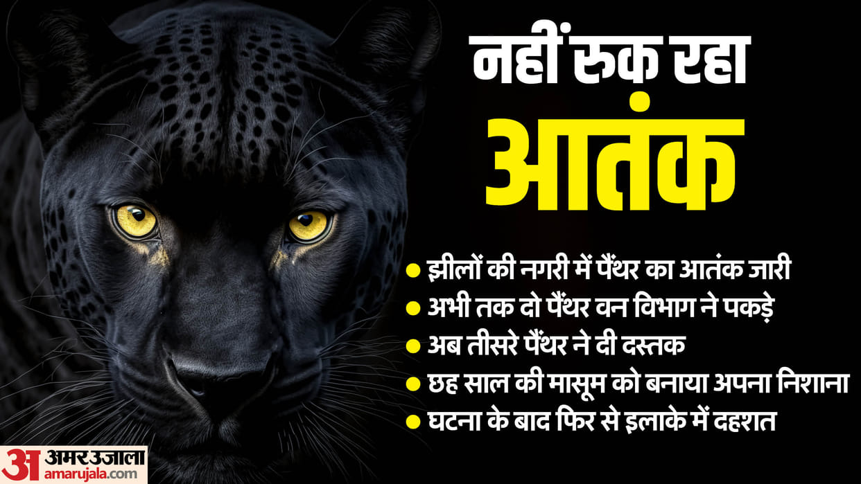 Panther Attack in Udaipur Six Year-Old Girl Falls Victim city on High Alert news in Hindi