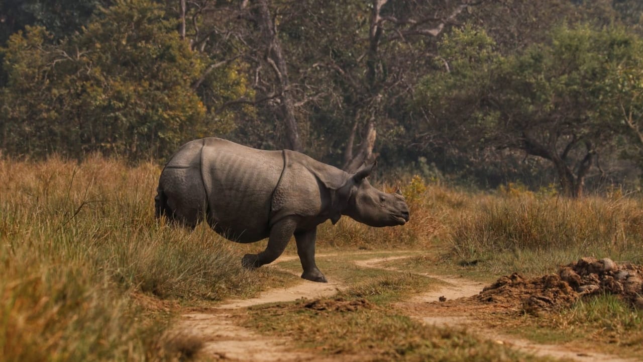lakhimpur kheri tourist places gola gokarnath temple medak mandir dudhwa national park