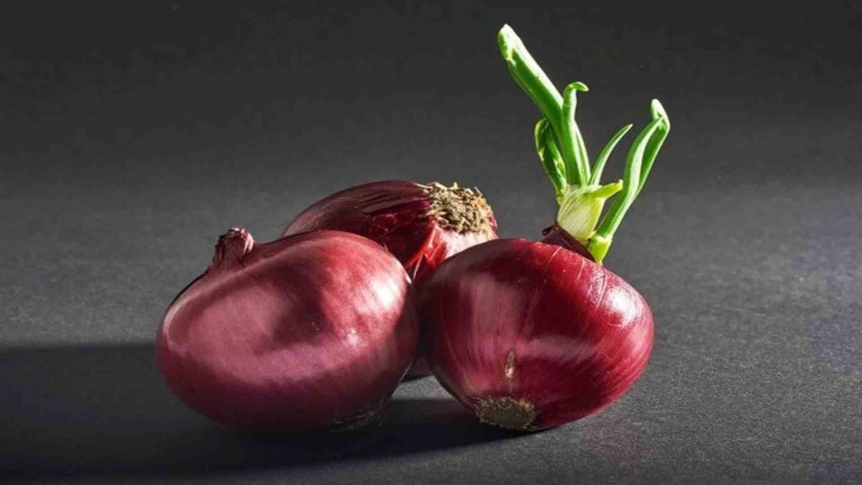 Jaipur News: Amid rising onion prices, the government has launched onion vans at cheaper rates