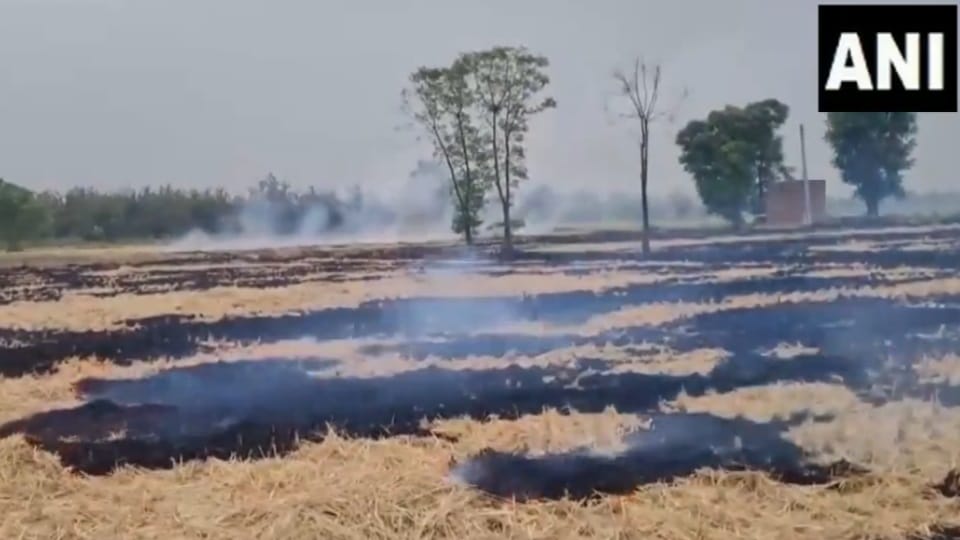 Punjab stubble burning cases drop Delhi pollution in question after 50% drop