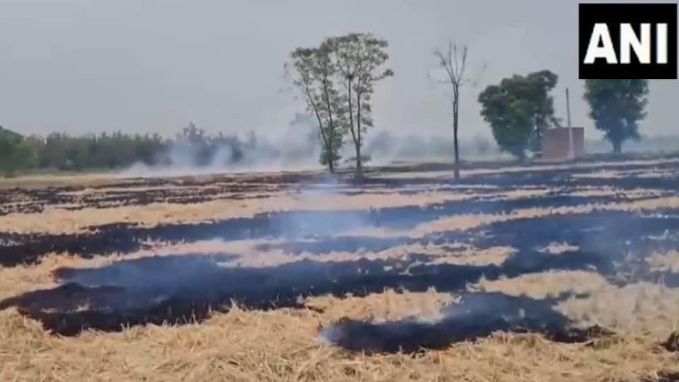 पराली जलाने के मामले