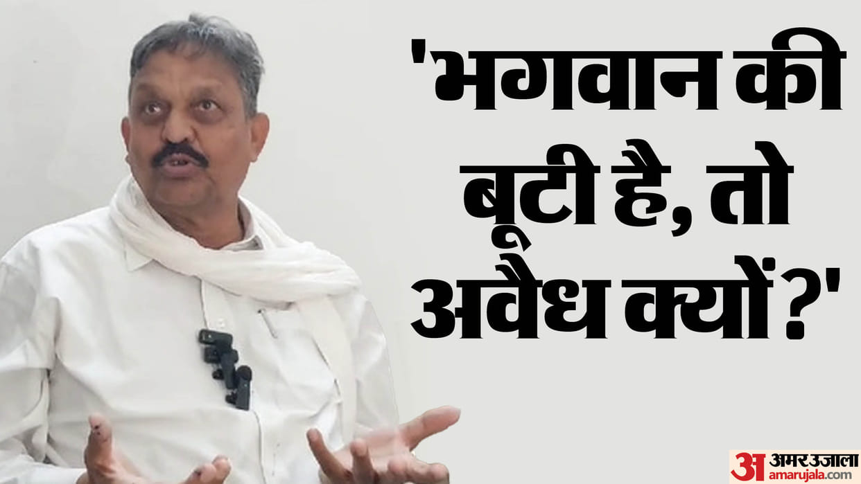 SP MP afzal ansari Statement people smoke ganja in kumbh and religious places government should give license