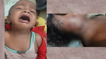 Bahraich: A wolf attacked on two children in Mahsi Thana Kshetra.