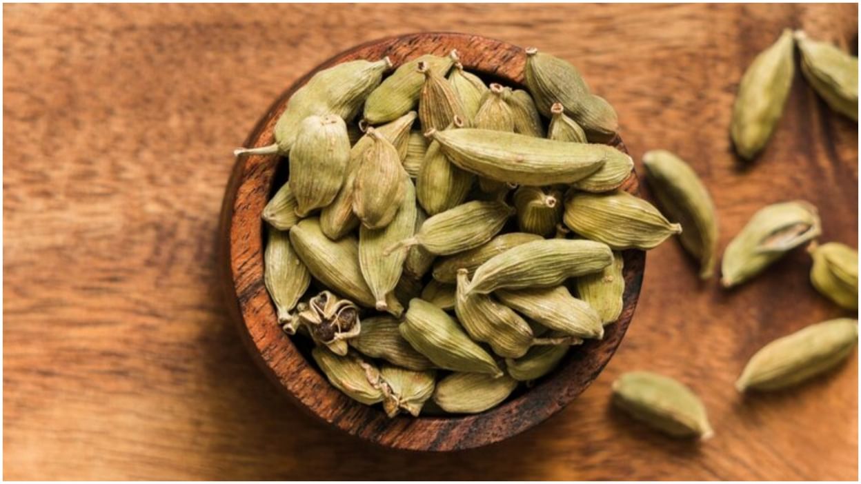 Cardamom Nutrition Facts And Health Benefits Elaichi Good For Weight Loss  And Digestion - Amar Ujala Hindi News Live - Health Tips:मसालों में  इस्तेमाल होने वाली ये औषधि है जादुई, वेट लॉस