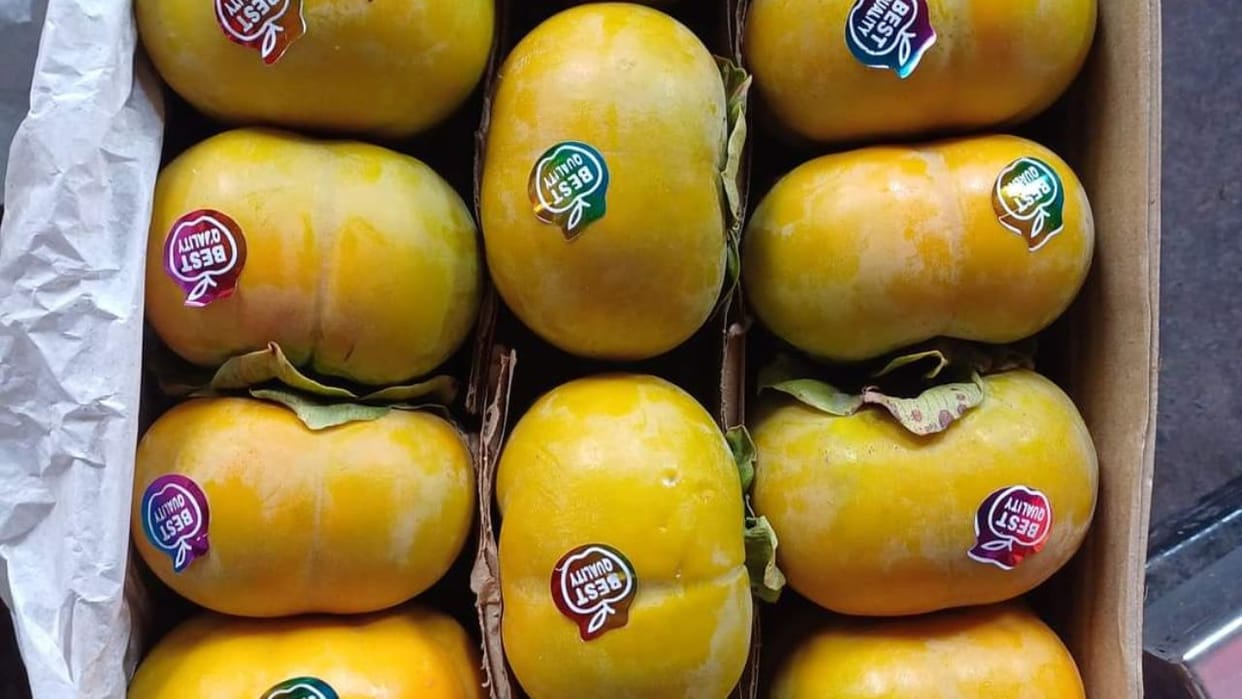 Himachal Japanese Fruit Himachali persimmon Demand in Mumbai and Bangalore price ranging from rs 100 to 160