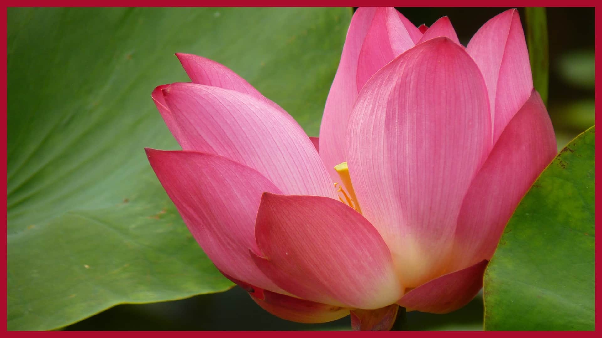 Ekadashi Mata Ki Katha kaun hain Ekadashi Mata aur kaise hui inki utpatti