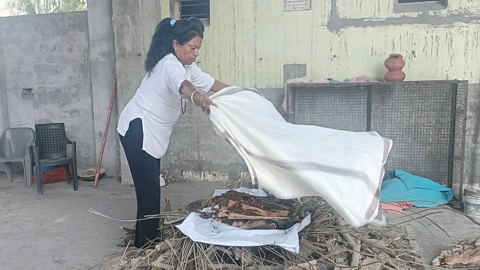 UP News: Cremation of a tree performed at the cremation ground in Muzaffarnagar, know why this tree is special