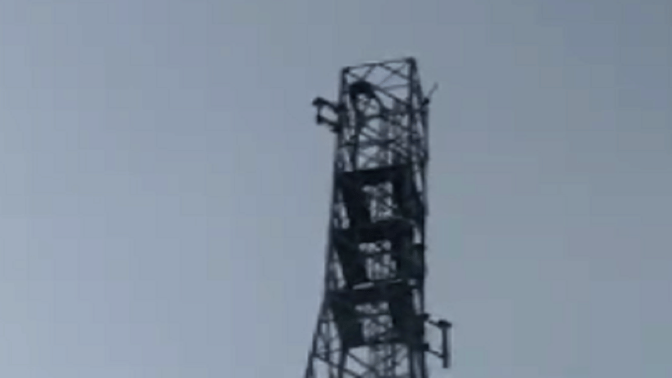 Bijnor: Drawn a pavva and hoisted the saffron flag by climbing the mobile tower, watch video