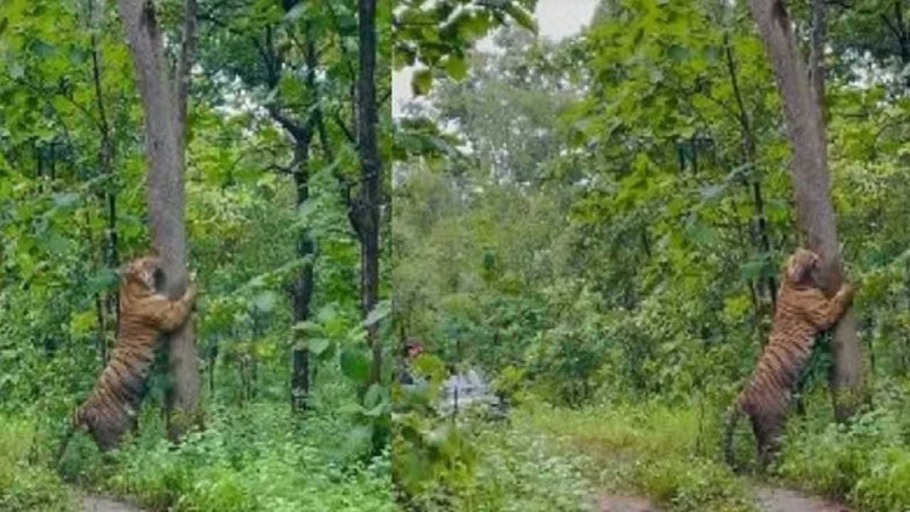 Chuka beach in Pilibhit gives you the feel of Goa