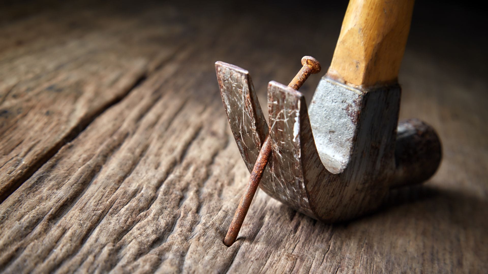 Keep these things in mind while putting nails on the walls know in hindi