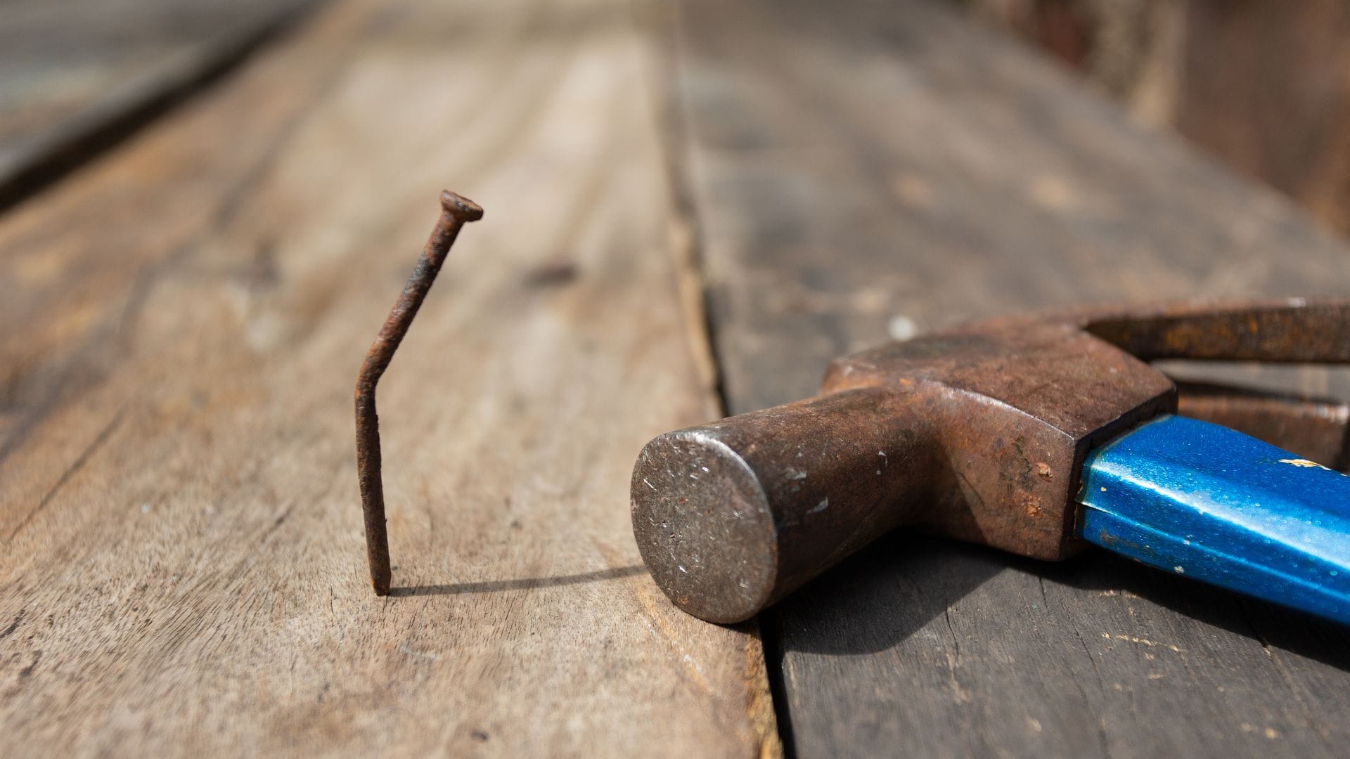 Keep these things in mind while putting nails on the walls know in hindi