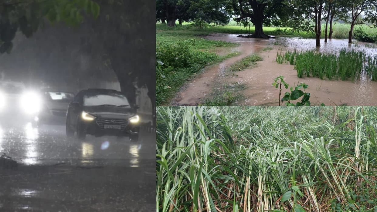 Warning of heavy rain for 30 districts in Uttar Pradesh.