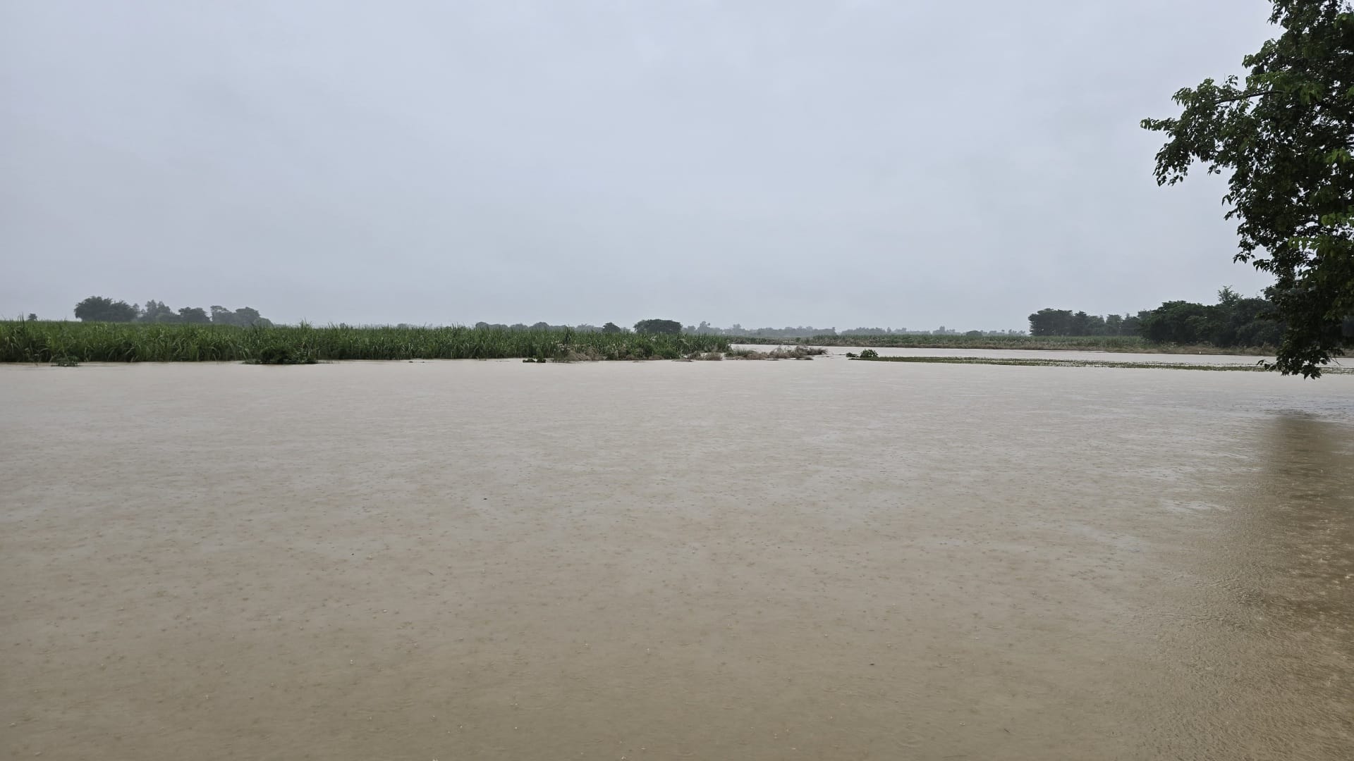 Bihar Flood: Torrential rains increased water level of mountain rivers in Bettiah, public life affected