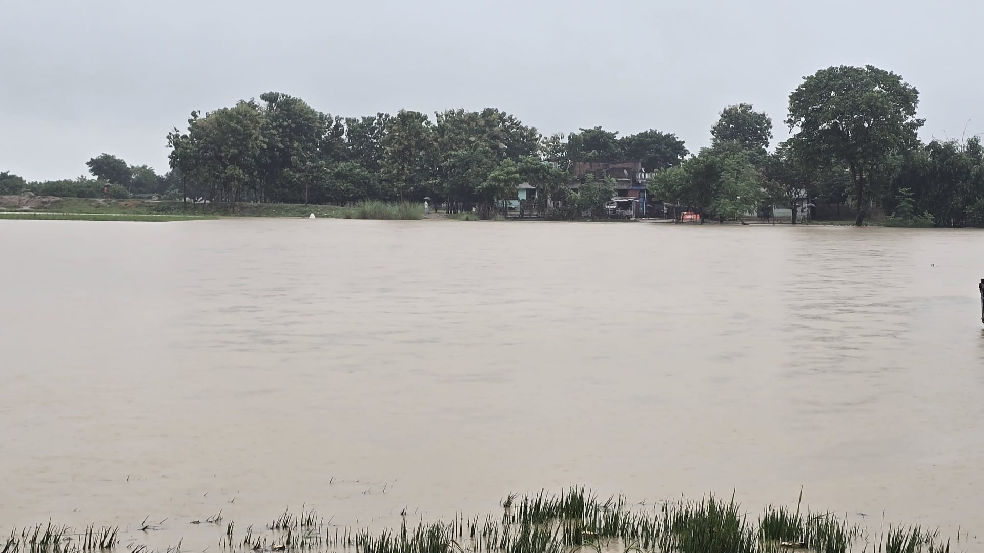 Bihar Flood: Torrential rains increased water level of mountain rivers in Bettiah, public life affected