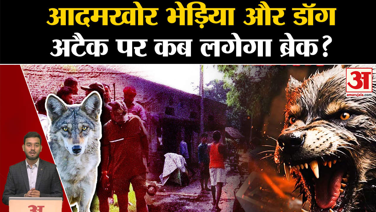 Operation Bhediya: आदमखोर Bhediya और Dog अटैक पर कब लगेगा ब्रेक? | Amar Ujala |