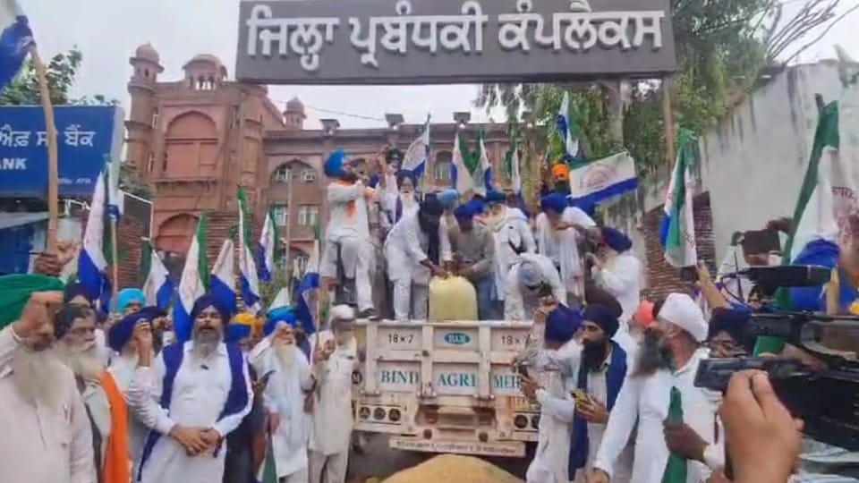Farmers protest for not getting full price of Basmati in Amritsar