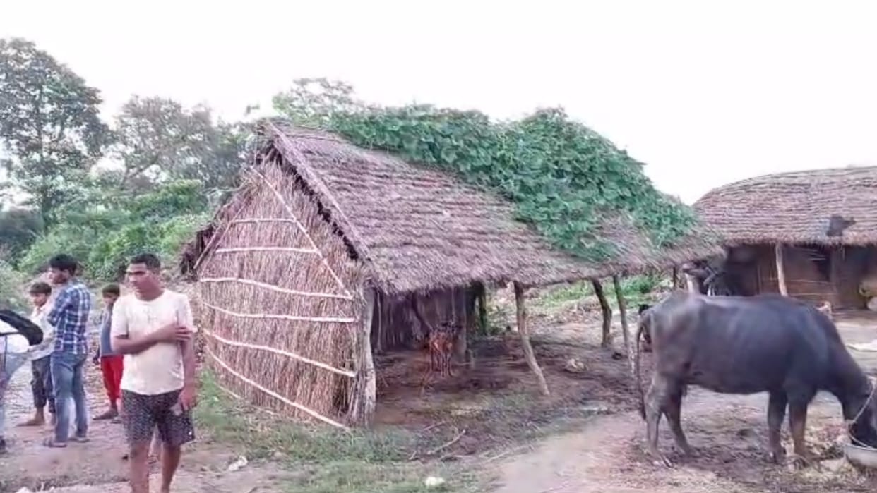 An animal killed a farmer in katarnia vanya jeev prabhag.