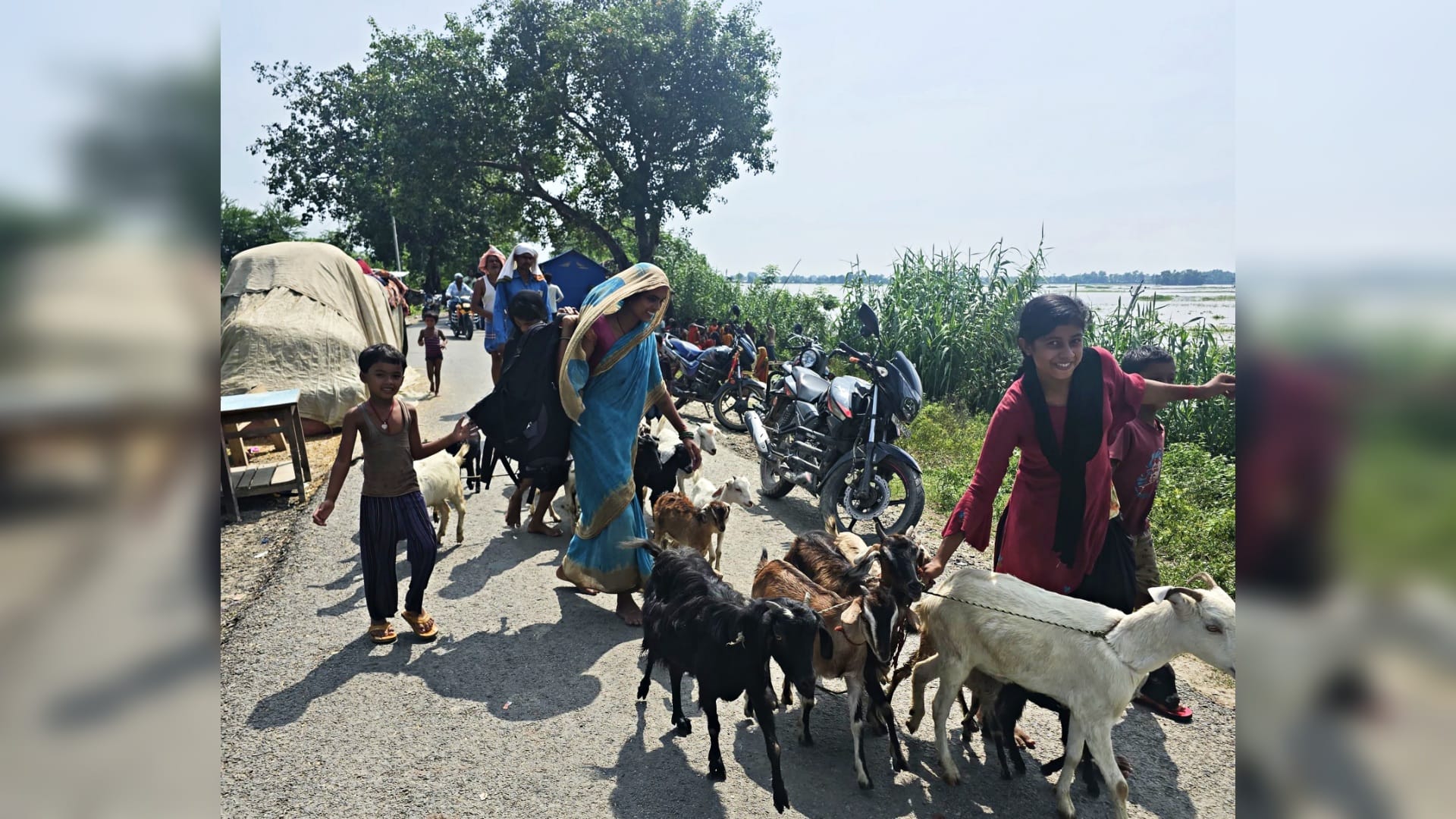 Bihar Flood: Kosi flood in Saharsa evacuated village, dangerous pressure on embankment