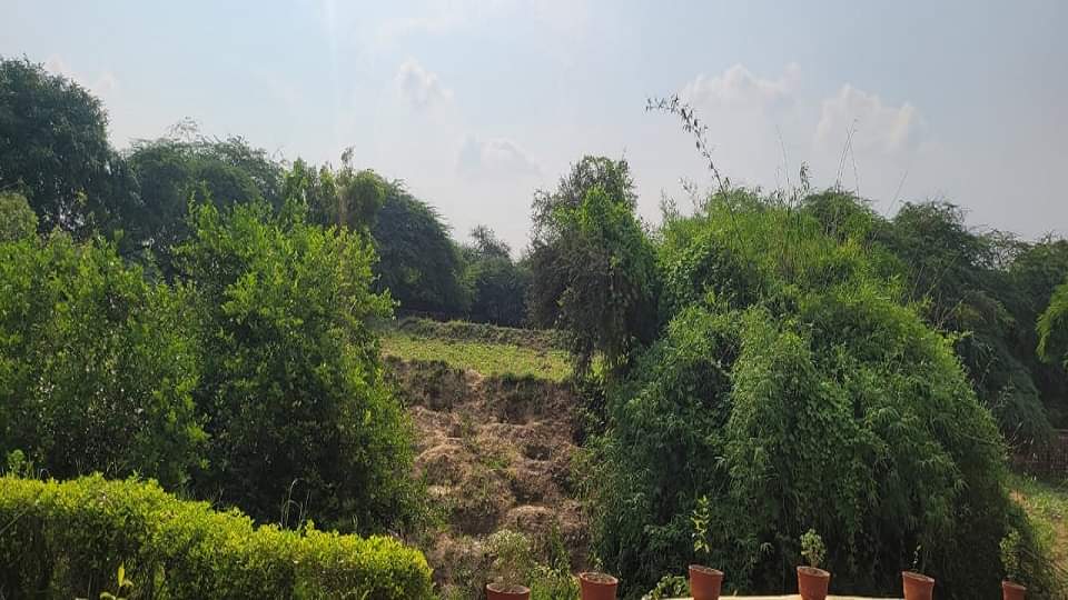 Scientists expressed concern then Agra will become a barren desert only one third of organic carbon is left