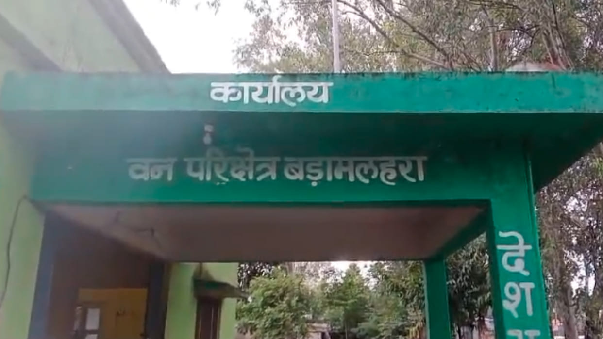 Chhatarpur: Attack on forest staff who went to stop illegal excavation, miscreants tried to run over tractor