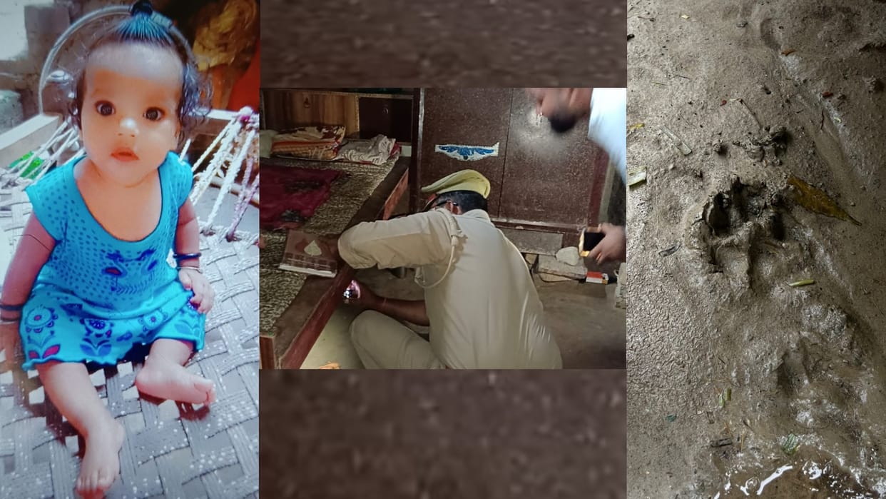 Gonda: An animal took away the child from fer house.