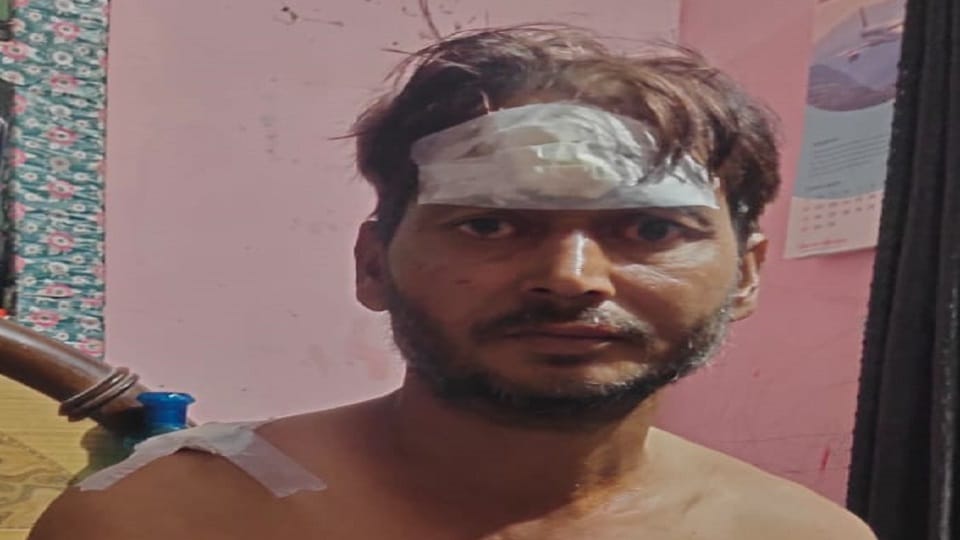 Young man injured by wild animal attack