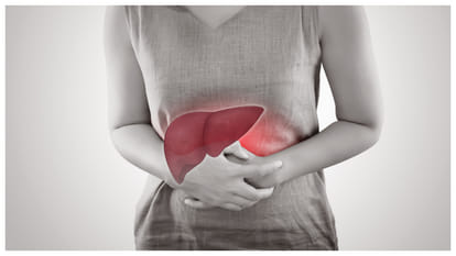 world liver day 2025 healthy foods with antioxidants to cut liver disease risk by 50%