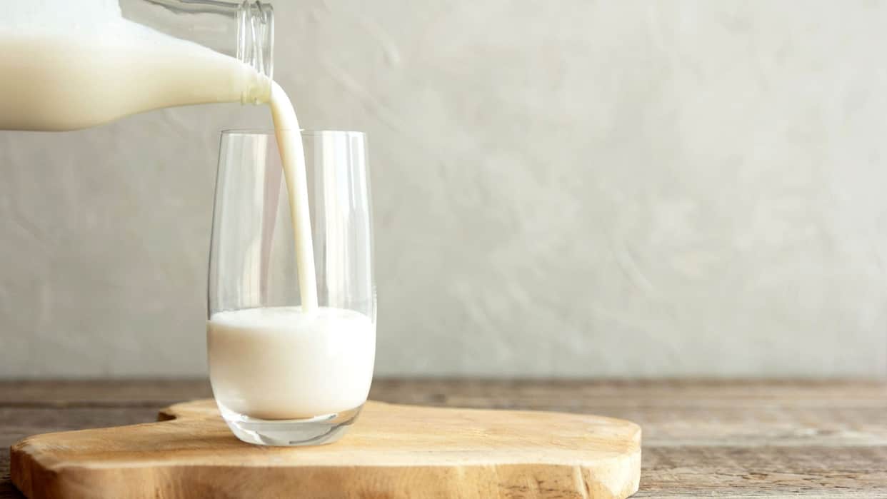 Milk production rises in Punjab 1.3 kg of milk available daily per person