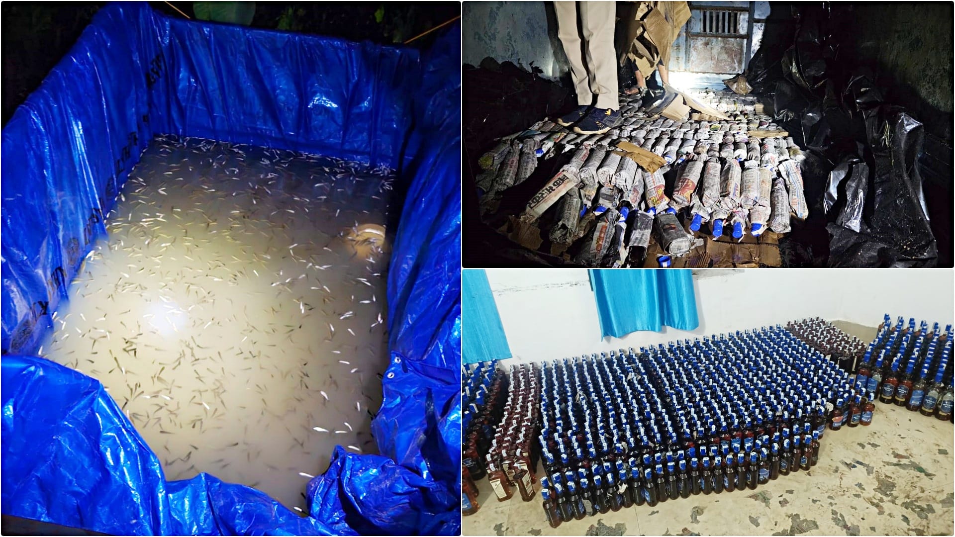 Saharsa News: Liquor was being smuggled under guise of fish seeds, English liquor worth 4 lakhs seized