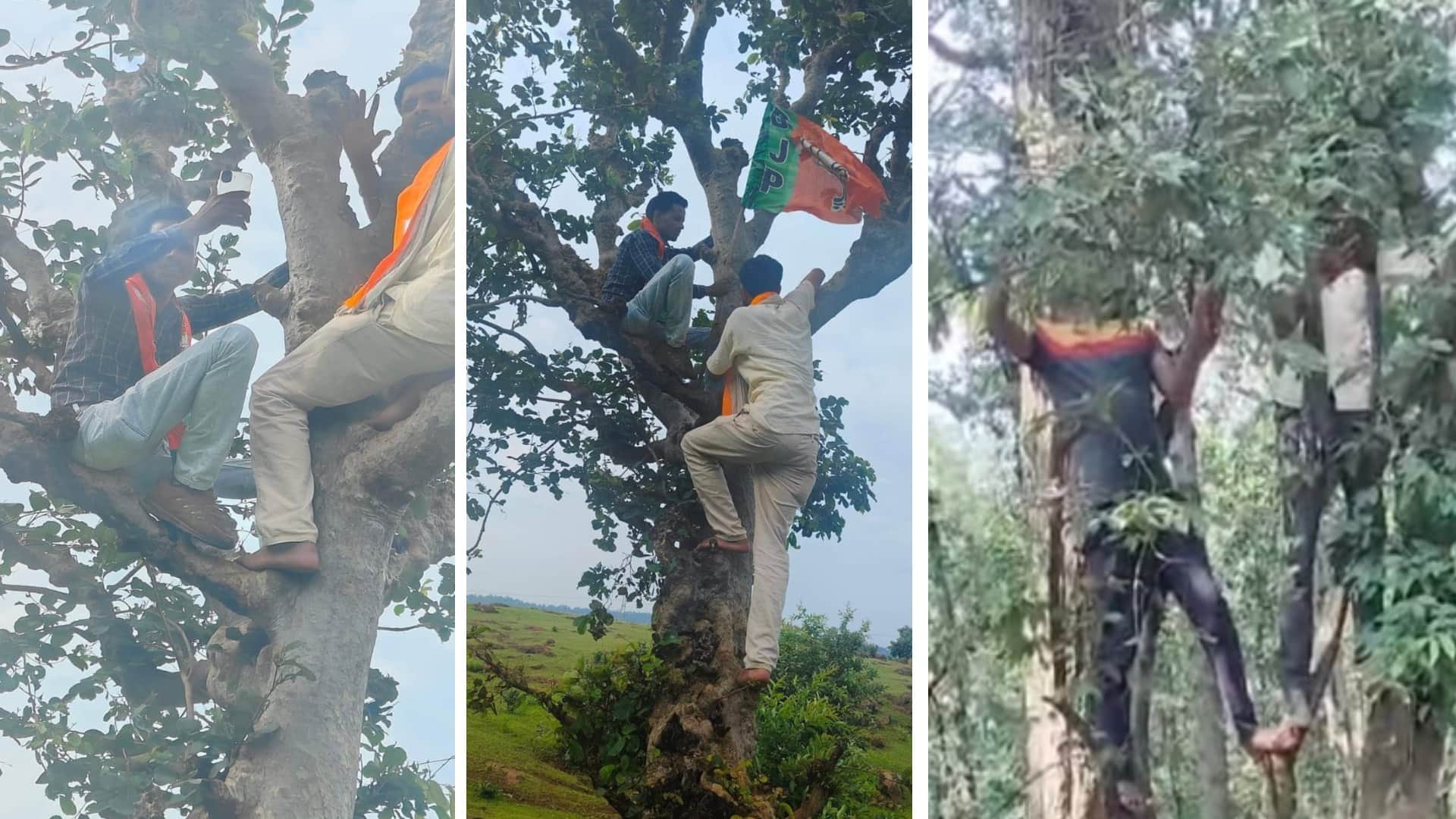 Sidhi News: If network is not available then BJP members are climbing trees, photo going viral
