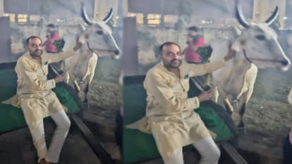 Meerut: Bhakiyus protest continues on the fourth day, bulls tied in police station, altercation with police