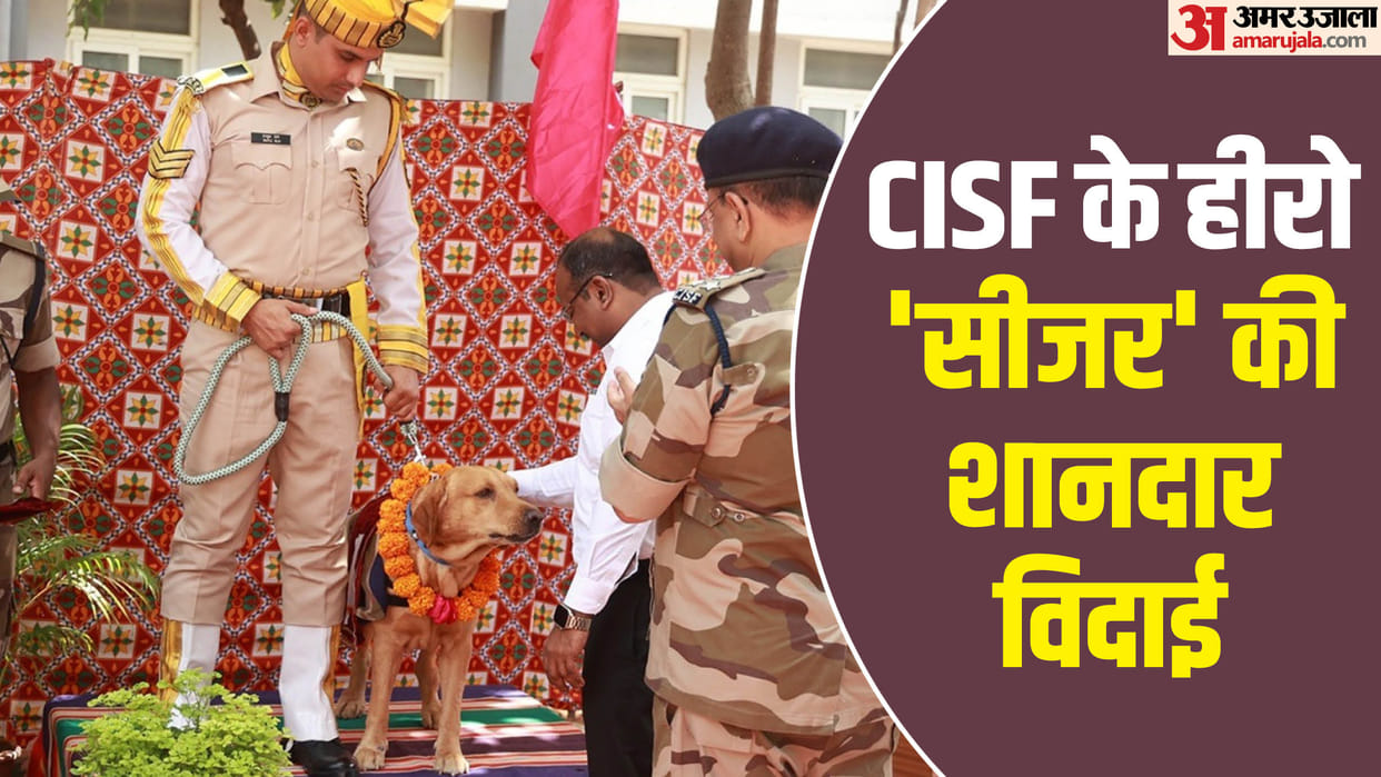 CISF dog squad canine retires after 8 years of service, given warm send-off