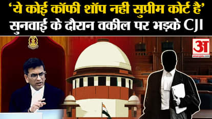 'This is not a coffee shop but the Supreme Court'; CJI DY Chandrachud got angry at the lawyer during the heari